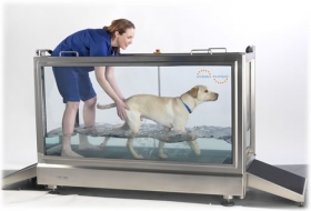 Veterinárna medicína - Hydroterapia Hydro Physio  